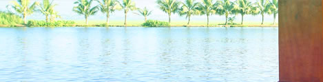 SAAMS An unforgettable Cruise Experience