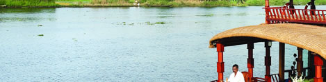 SAAMS An unforgettable Cruise Experience