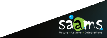 SAAMS An unforgettable Cruise Experience